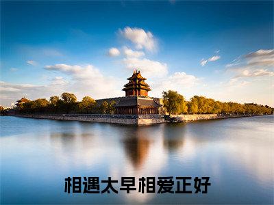 辛白程浩泽小说(相遇太早相爱正好)全文免费阅读无弹窗大结局_辛白程浩泽小说最新章节列表