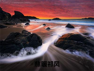 林暖祁风小说最新章节试读_林暖祁风是(林暖祁风)小说主角热门推荐_笔趣阁(林暖祁风)