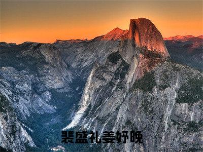 裴盛礼姜妤晚(姜妤晚裴盛礼小说)全文免费阅读无弹窗大结局-姜妤晚裴盛礼小说最新章节列表_笔趣阁