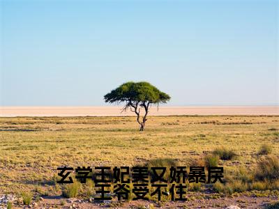 溪云眠(玄学王妃美又娇暴戾王爷受不住)女生必看小说全集_玄学王妃美又娇暴戾王爷受不住(溪云眠)全文免费阅读