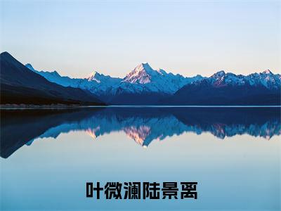 叶微澜陆景离叶微澜陆景离小说全文免费阅读无弹窗大结局_（叶微澜陆景离）最新章节列表笔趣阁