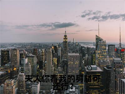霍绍尘唐婉婉(霍绍尘唐婉婉)全文免费阅读无弹窗_夫人你看我的身材可还行?小说免费阅读_笔趣阁