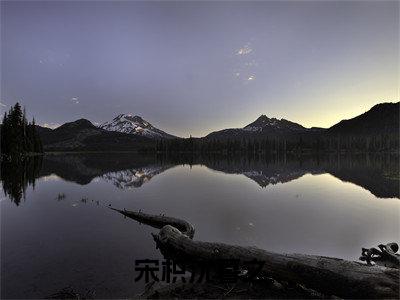 宋枳沈暮之(宋枳沈暮之)全文免费阅读无弹窗大结局_宋枳沈暮之最新章节列表_笔趣阁(宋枳沈暮之)