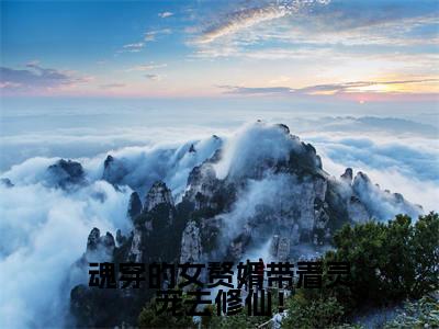 魂穿的女赘婿带着灵宠去修仙!小说(魏潇朦)免费阅读全文无弹窗大结局_魏潇朦免费阅读无弹窗小说_小说笔趣阁