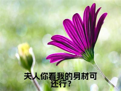 霍绍尘唐婉婉小说(夫人你看我的身材可还行?)全文免费阅读无弹窗大结局_霍绍尘唐婉婉(夫人你看我的身材可还行?)最新章节列表