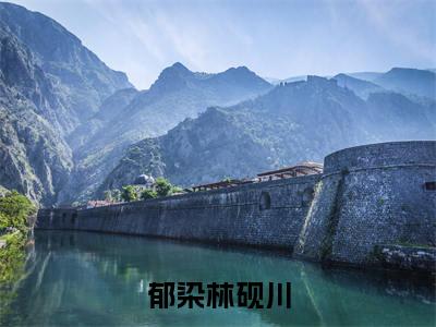 郁染林砚川全文免费阅读_(郁染林砚川免费阅读无弹窗)郁染林砚川最新章节列表笔趣阁