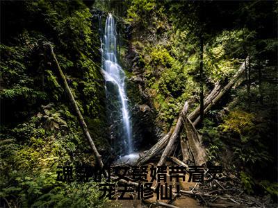 小说魂穿的女赘婿带着灵宠去修仙！（魏潇朦）全文免费阅读-最火热门小说魂穿的女赘婿带着灵宠去修仙！最新章节更新