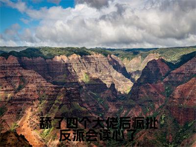 (江南月)舔了四个大佬后疯批反派会读心了全文免费阅读无弹窗_(舔了四个大佬后疯批反派会读心了小说免费阅读)最新章节列表笔趣阁