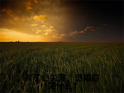 有了心尖宠,退婚你哭什么?(池莹月)小说全文免费阅读无弹窗大结局_有了心尖宠,退婚你哭什么?(池莹月)最新章节列表