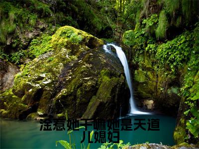赵清浔小说全文-淦惹她干嘛她是天道儿媳妇精选小说赵清浔大结局阅读
