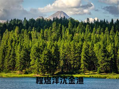 程煜洋沈金渔(沈金渔程煜洋)全文免费阅读无弹窗大结局_(程煜洋沈金渔)最新章节列表_笔趣阁(沈金渔程煜洋)