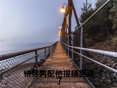 涂予凡热门小说在线阅读快穿男配他提桶跑路了全网推荐（涂予凡）全文