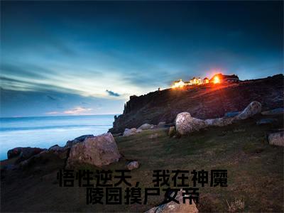 小说悟性逆天,我在神魔陵园摸尸女帝全文免费阅读无弹窗大结局_(陆修)全文在线阅读