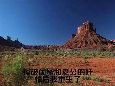 撞破闺蜜和老公的奸情后我重生了(秦晓)小说全文免费阅读-撞破闺蜜和老公的奸情后我重生了(秦晓)小说免费版最新更新阅读