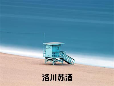 苏酒洛川小说免费阅读无弹窗《洛川苏酒》_洛川苏酒全文阅读苏酒洛川