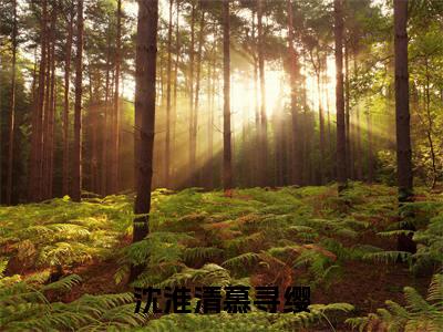 慕寻缨沈淮清(沈淮清慕寻缨)小说全文免费阅读-慕寻缨沈淮清免费阅读完整版