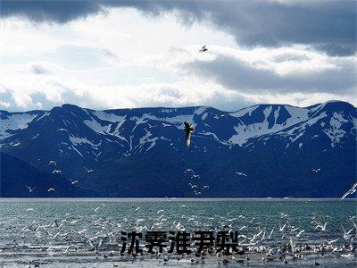 尹梨沈霁淮全文阅读-沈霁淮尹梨小说免费阅读-笔趣阁