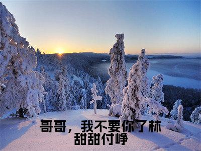 林甜甜付峥（哥哥，我不要你了林甜甜付峥）全文免费阅读无弹窗大结局_林甜甜付峥免费阅读最新章节列表_笔趣阁