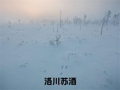 洛川苏酒阅读无弹窗大结局_(苏酒洛川阅读无弹窗)最新章节列表_笔趣阁(苏酒洛川)