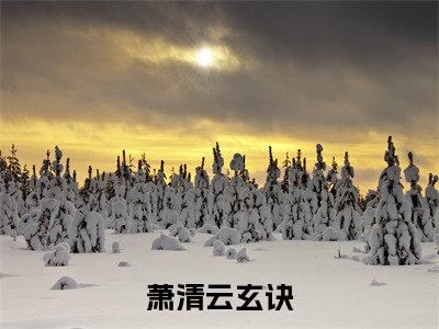 萧清云玄诀在线阅读（萧清云玄诀）全文免费阅读无弹窗大结局_（萧清云玄诀全文免费阅读）最新章节列表