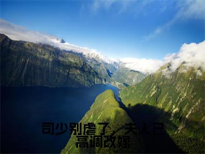 司少别虐了,夫人已高调改嫁是什么小说-(鹿染)司少别虐了,夫人已高调改嫁无弹窗免费阅读大结局最新章节列表_笔趣阁