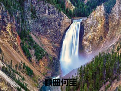 顾曲何笙何笙顾曲抖音新书热荐-小说顾曲何笙全文完整版免费阅读