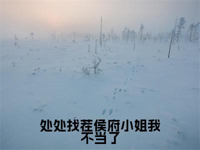 处处找茬侯府小姐我不当了全文免费阅读无弹窗大结局_(沐芸烟在线阅读)处处找茬侯府小姐我不当了最新章节完整版阅读