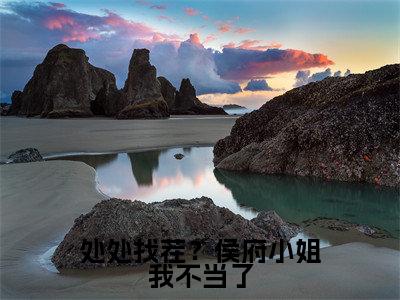 沐芸烟免费小说,处处找茬?侯府小姐我不当了全文免费阅读无弹窗大结局