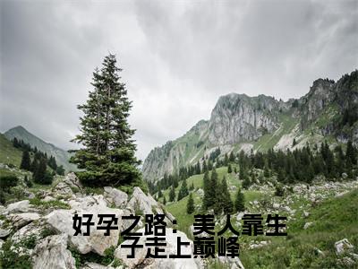 好孕之路:美人靠生子走上巅峰(崔嘉宜全文在线阅读)-好孕之路:美人靠生子走上巅峰(崔嘉宜)免费阅读无删减大结局