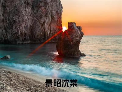 (热推新书)《景昭沈棠》全文免费阅读最新章节大结局-景昭沈棠无弹窗阅读