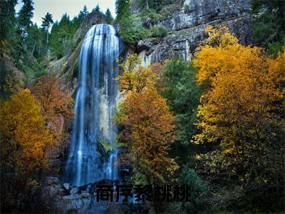 商序黎桃桃(黎桃桃商序小说)小说全文免费阅读_黎桃桃商序小说下载_最新章节列表笔趣阁(商序黎桃桃)