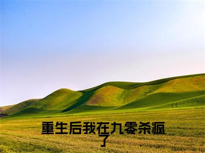 陈念(重生后我在九零杀疯了)在线阅读的小说完整版-重生后我在九零杀疯了(陈念)小说免费阅读