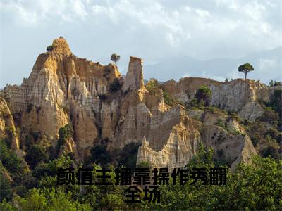 庄白慈小说全文免费阅读-颜值主播靠操作秀翻全场在线阅读的小说完整版