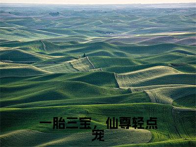 一胎三宝,仙尊轻点宠(沈知素)小说精彩免费内容_一胎三宝,仙尊轻点宠(沈知素)最新章节全文阅读大结局