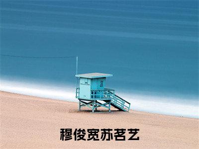 穆俊宽苏茗艺小说(穆俊宽苏茗艺)全文免费阅读无弹窗大结局_(穆俊宽苏茗艺)最新章节列表(穆俊宽苏茗艺)