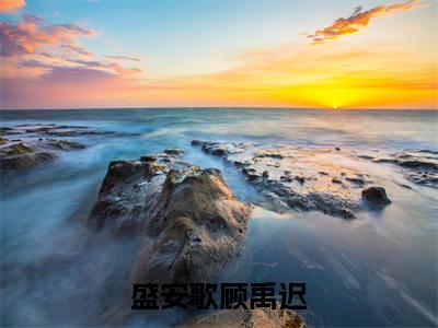 盛安歌顾禹迟(盛安歌顾禹迟)小说全文免费阅读正版无弹窗_(盛安歌顾禹迟)最新章节列表笔趣阁