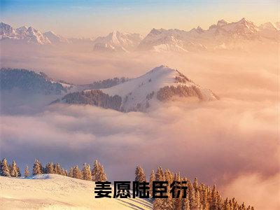 姜愿陆臣衍(姜愿陆臣衍最新全章节大结局)全文阅读
