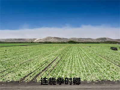 连栀季时卿结局_(连栀季时卿)连栀季时卿最新章节列表_笔趣阁