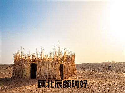 顾北辰颜珂妤(颜珂妤顾北辰小说)全文免费阅读无弹窗大结局_顾北辰颜珂妤最新章节列表_笔趣阁(颜珂妤顾北辰小说)