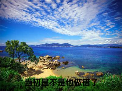 当初是不是他做错了小说(穆岁岁孟宴清)小说全文免费穆岁岁孟宴清读无弹窗大结局笔趣阁(当初是不是他做错了)
