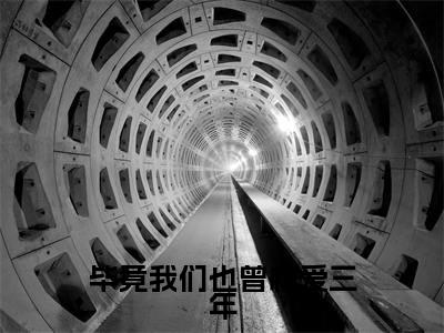 司寒楠苏佳晴的小说主角(毕竟我们也曾相爱三年)免费阅读_毕竟我们也曾相爱三年热搜小说完结版阅读