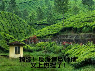 虞寇忱(虞寇忱)全文免费阅读无弹窗_撩欲!反派造型师他又上热搜了!小说免费阅读_笔趣阁