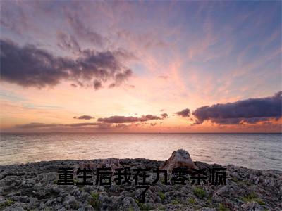 陈念(完整版)热文小说阅读-陈念全文抖音热推