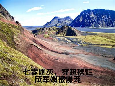 七零炮灰,穿越摆烂成军嫂被爆宠小说最新试读_沈清欢是(七零炮灰,穿越摆烂成军嫂被爆宠全文完整版免费阅读)_笔趣阁