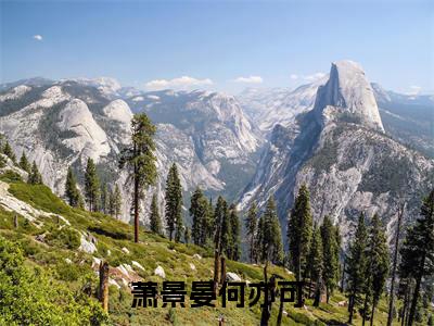 萧景晏何亦可全文免费阅读无弹窗大结局_(何亦可萧景晏)萧景晏何亦可热门章节在线阅读笔趣阁(何亦可萧景晏)