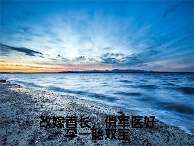 热门小说已完结周薇陆彦小说无弹窗大结局_周薇陆彦改嫁首长，俏军医好孕一胎双宝全文阅读大结局