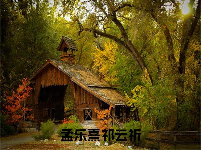 孟乐熹祁云祈(祁云祈孟乐熹)全文免费完结版阅读_(祁云祈孟乐熹)孟乐熹祁云祈最新章节列表笔趣阁