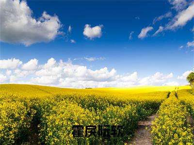霍戾阮软（霍戾阮软）全文免费阅读无弹窗大结局_霍戾阮软免费最新章节列表_笔趣阁