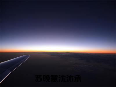 苏晚意沈沐承（苏晚意沈沐承）小说在线阅读_苏晚意沈沐承全本免费小说阅读（沈沐承苏晚意）