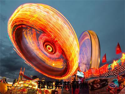林暮洲穆言希(穆言希林暮洲小说)全文免费阅读无弹窗大结局_(林暮洲穆言希)穆言希林暮洲小说最新章节列表